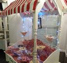 Essex Candy Cart Is The Only Choice